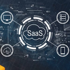 SaaS Development Services